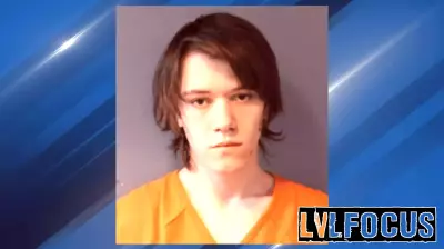 Tragic Incident: Brothers' Video Game Session Turns Fatal